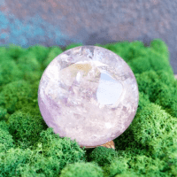 Avenirtel | voyant Sylvain